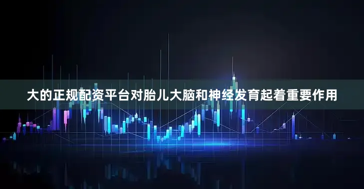 大的正规配资平台对胎儿大脑和神经发育起着重要作用