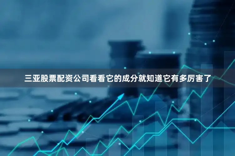 三亚股票配资公司看看它的成分就知道它有多厉害了