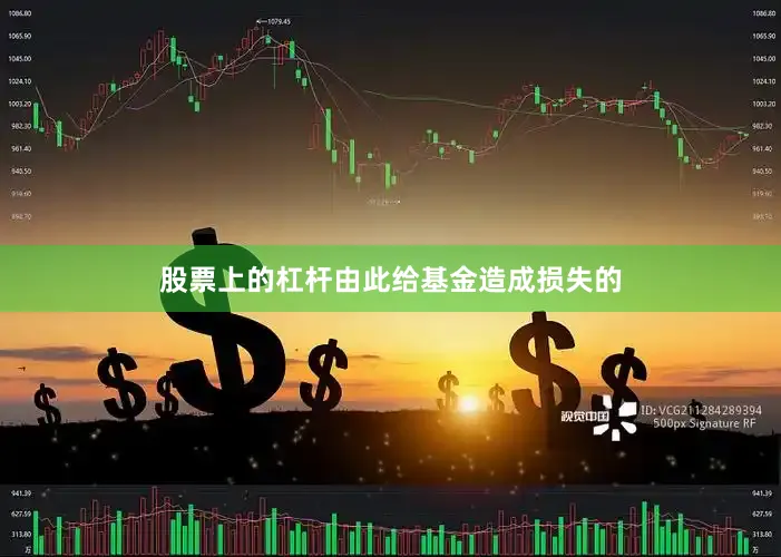 股票上的杠杆由此给基金造成损失的